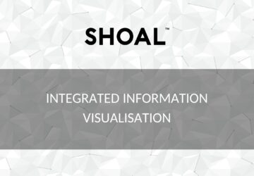Integrated information visualisation