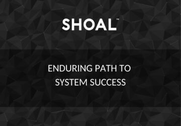 Enduring path to system success