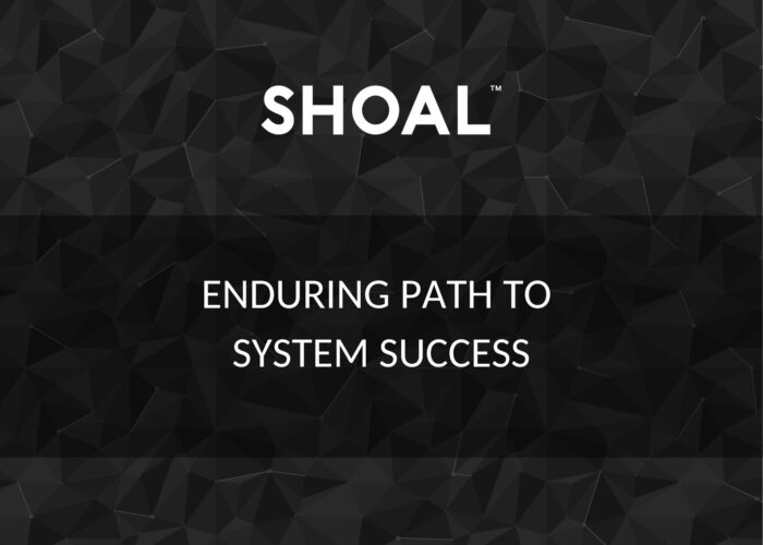 Enduring path to system success