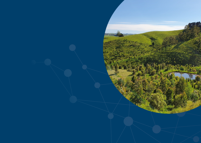 Shoal offsets 108 tonnes of carbon through native reforestation with Greenfleet